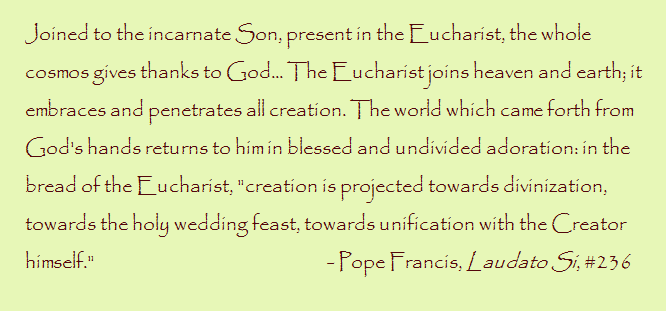 appreciategodscreation